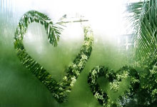 旺财28:第34届乒乓球亚洲杯收官 王楚钦、王曼昱夺冠.