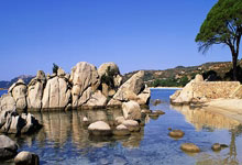 旺财28:广东宏远的胡明轩、徐杰、赵睿、杜润旺和周琦,他们一起创造了辉煌.